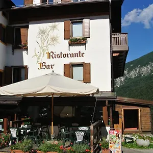 albergo-stella-alpina-san-pietro-di-cadore.hotelinveneto.com/